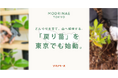 どんぐりを育て、山へ植林。「戻り苗」が東京でも始動。