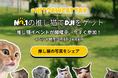 HitPaw自慢の推し猫イベント開催中｜自分の猫写真でDJI Pocketをゲット