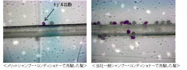 花粉やホコリなどが髪につきにくいダストシールド技術採用の メリット シャンプー コンディショナー のサンプルセットをj ｎｓ花粉 カットシリーズお買い上げの方にプレゼント 花王株式会社 花王mkニュース のプレスリリース