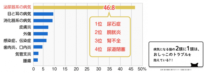 自分の愛猫は健康だと思っている人が9割。猫の体調変化にいちはやく 