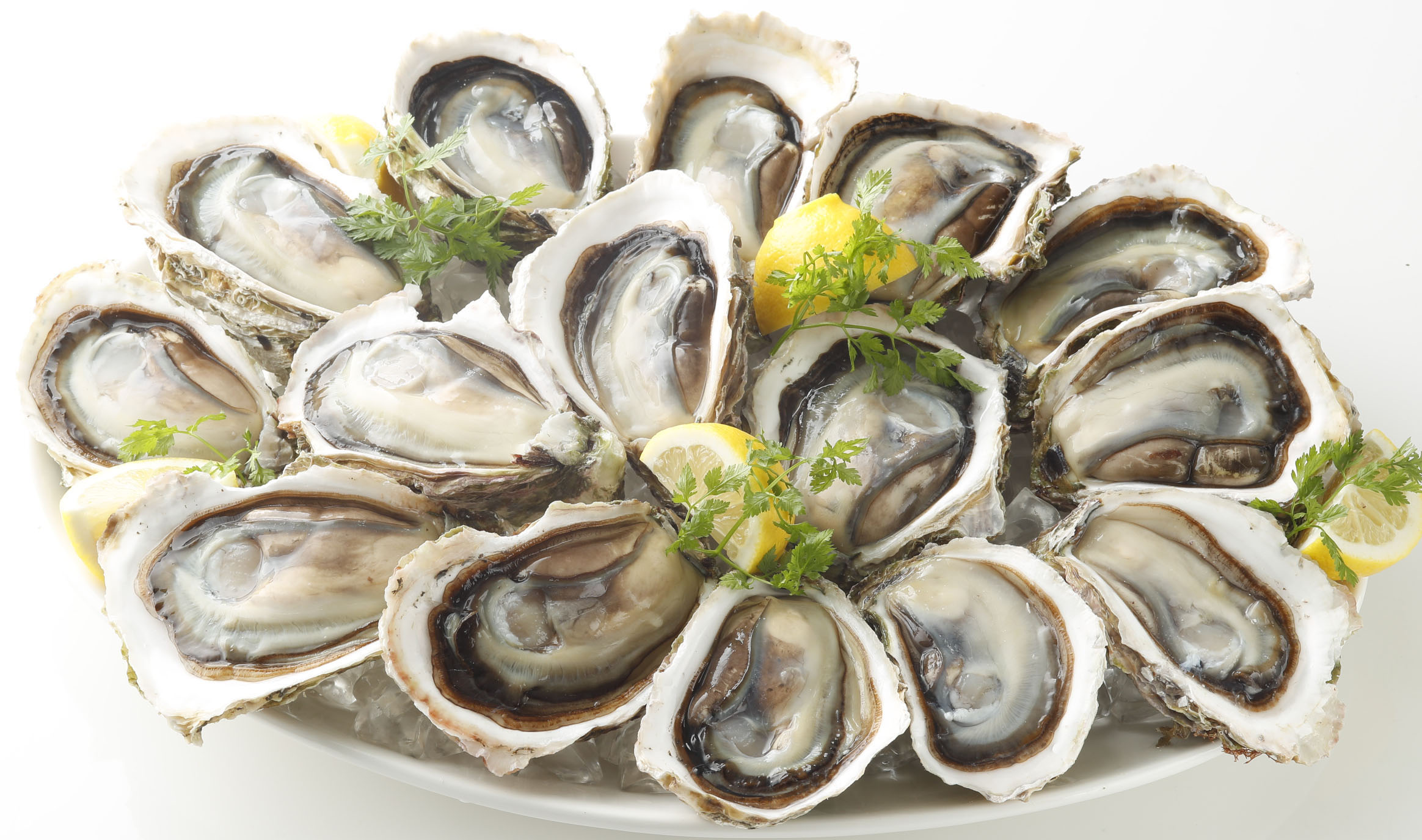 旬を迎える岩牡蠣を満喫しよう 6月9日 ロック 岩 の日 は ゼネラル オイスターの岩牡蠣の日 株式会社ゼネラル オイスターのプレスリリース