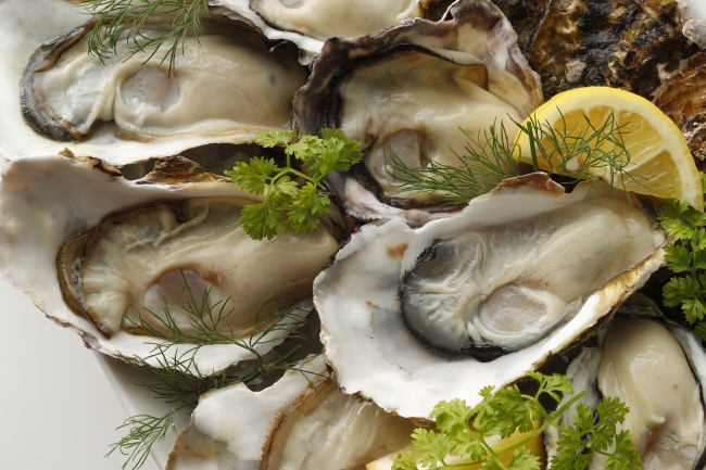 海のスーパーフード をたっぷり食べて元気チャージ 真牡蠣食べ放題 株式会社ゼネラル オイスターのプレスリリース
