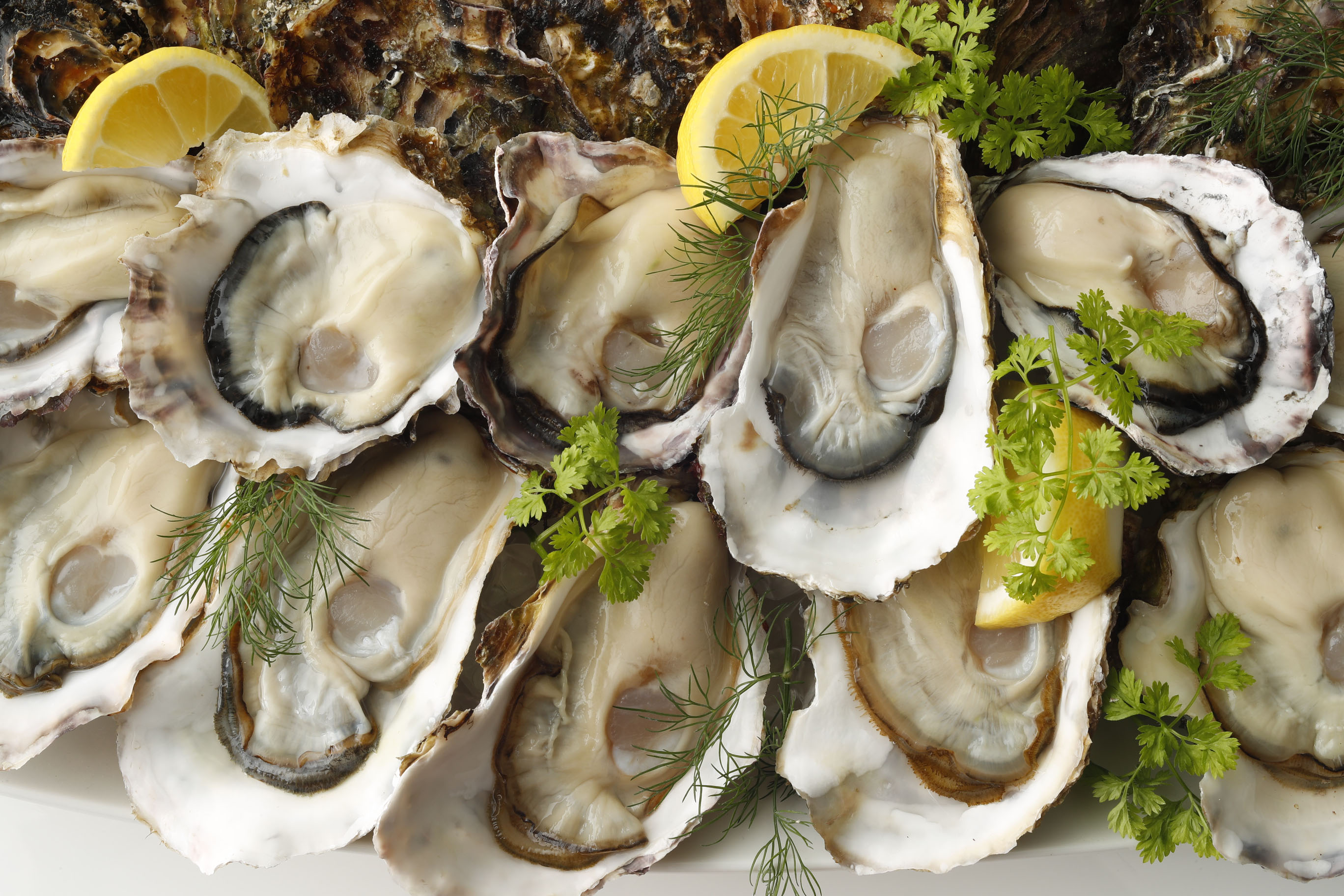 海のスーパーフード で免疫力を高めてウィルスに負けない ランチもディナーも 真牡蠣食べ放題 株式会社ゼネラル オイスターのプレスリリース