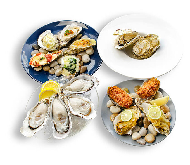 リニューアル記念セット