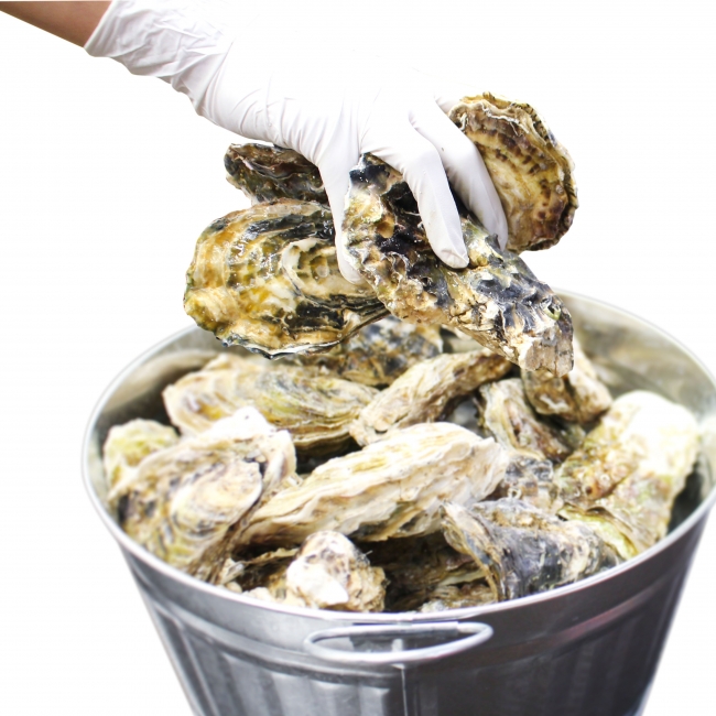 11月23日(金)は牡蠣の日！ニューヨークで人気の「Oyster week」が日本