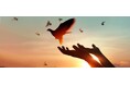2025年度は新たに3団体、合計7団体への資金支援を実施。売上の10％相当の活動をプロボノに、売上の1％以上を資金支援に拠出