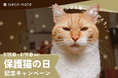 5月25日“保護猫の日”に、持続可能な動物福祉を目指す「ネコノート」が、家族がみつかりにくい保護猫たちを対象に、手数料0円の感謝還元キャンペーンを開催！