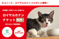 保護猫スポンサーシップ「ネコノート」、ロイヤルカナン ジャポン合同会社と提携！保護猫へ良質なごはんを届ける投げ銭チケット「ロイヤルカナン特別チケット」を6月24日より提供開始