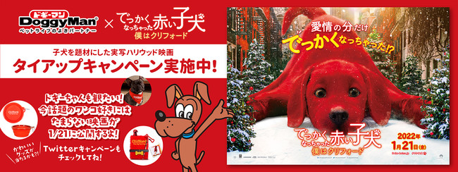 映画コラボ 映画 でっかくなっちゃった赤い子犬 僕はクリフォード ドギーマンハヤシ ドギーちゃんに愛を贈ろう キャンペーン 22年1月13日 木 よりドギーマン公式twitterで実施決定 ドギーマンハヤシ 株式会社のプレスリリース