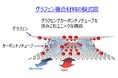 世界初!グラフェン厚膜電極の製造に成功 マテリアルイノベーションつくばと大同メタル