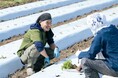 家庭菜園のお悩みをプロ農家に相談!全10回開催 ランチ付き体験型イベント『旬刻旬菜』10月1日(火)より申込受付開始