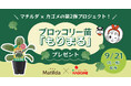 マチルダ × カゴメの第2弾プロジェクト！ブロッコリー苗「もりまる」を希望者へプレゼント