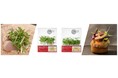 クセスゴ野菜「マイクロハーブ」シリーズから2つの新商品　和食やフレンチを引き立てる『シュンギク』と『セルフィーユ』