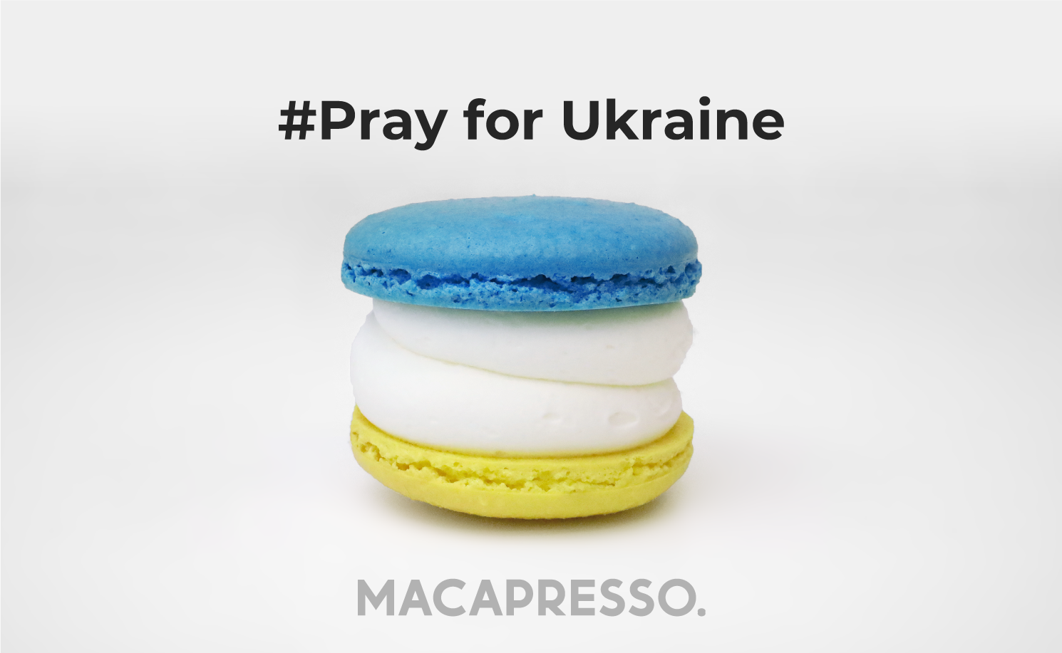新作商品 ウクライナ支援 くすみカラーのフルーツマカロン５個セット フェイクスイーツ