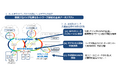 NTT、KDDI、富士通、NEC、楽天モバイルが総務省/NICTの「革新的情報通信技術(Beyond 5G(6G))基金事業」社会実装・海外展開志向型戦略的プログラム(共通基盤技術確立型)に採択