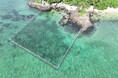 沖縄県初!絶滅危惧種の海草の再生プロジェクトが評価