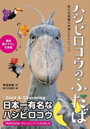 『ハシビロコウのふたば』南幅俊輔・著／辰巳出版