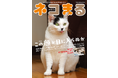 【付録カレンダー付き】個性派猫が大集合! 『ネコまる』2024 冬春号 Vol.47 が11月21日に発売