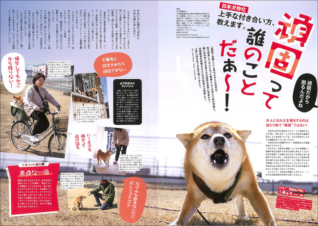 柴犬好き必見！ 日本犬専門誌『Shi-Ba【シーバ】』、はじめての主催