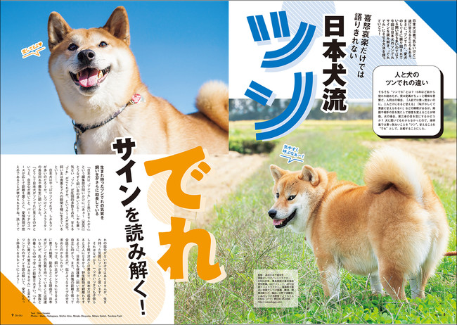 2020年7月号(Vol.113)より 2020年7月号(Vol.113)より