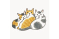 #世界猫の日 「気づけば猫ばかり描いていた」人気イラストレーター小泉さよさんがとびきりかわいい猫の描き方を教える『ねこの描き方れんしゅう帖』が発売決定