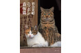 全国津々浦々から60匹が大集合! 岩合さん初の看板猫写真集『岩合光昭 ニッポン看板猫』9月13日発売