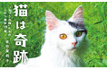 【小山慶一郎さん、村上しいこさん絶賛】涙なしには読めない猫にまつわる17の実話を収めた書籍『猫は奇跡』が9月24日発売