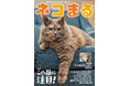 ホワイトタイガーの赤ちゃんも登場! 『ネコまる』2025冬春号 Vol.49が11月21日に発売