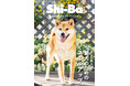 愛犬のQOLを上げる鍵! “飼い主スキル”を高めるメソッドを特集した『Shi-Ba【シーバ】』最新号Vol.135が2月28日(金)発売