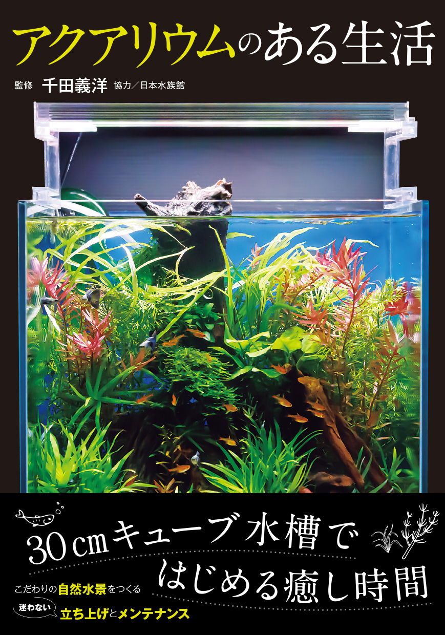 今 自然を感じるインテリアとして大人気 アクアリウムレイアウターの第一人者千田義洋が監修 自宅で30cmキューブ水槽 からはじめる自然水景の立ち上げ方とメンテナンスを1冊にまとめて紹介 辰巳出版株式会社のプレスリリース