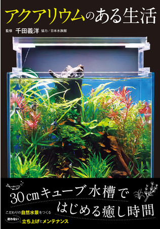 今 自然を感じるインテリアとして大人気 アクアリウムレイアウターの第一人者千田義洋が監修 自宅で30cmキューブ水槽 からはじめる自然水景の立ち上げ方とメンテナンスを1冊にまとめて紹介 辰巳出版株式会社のプレスリリース