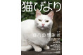 漫画家・谷口菜津子さんも登場！　人間を癒し励まし勇気づけてくれる猫たちに贈る「感謝状」特集の『猫びより』春号が3月12日（木）に発売