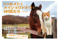 【馬と猫の友情ふたたび】フォトブック『ボス猫メトとメイショウドトウと仲間たち』3月25日に発売決定！