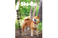 《創刊25周年記念号》暑さを攻略！ 愛犬と“最高の夏”を楽しむアイデア満載の『Shi-Ba【シーバ】』Vol.140が5月29日（金）発売
