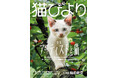 【創作のそばには、いつも猫がいた】特集「アーティストと猫」にSOPHIA・黒柳能生さん、彫刻家・はしもとみおさんら登場　『猫びより』夏号が6月12日（金）に発売