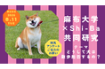 【麻布大学×Shi-Ba 共同研究スタート！】《どうして犬は散歩拒否するの？》研究アンケートにご協力いただける方を募集中