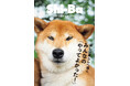 愛犬のために“やってよかった!!” 飼い主さんが絶賛する暮らしの工夫を特集した『Shi-Ba【シーバ】』最新号Vol.141が8月28日（金）発売