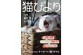 【人間でいえば96歳以上！】20歳超の猫たちを特集した『猫びより』秋号は9月11日（金）に発売