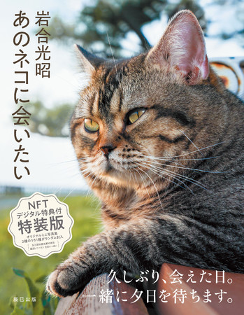 まるでスター猫の世界選抜 岩合光昭 写真集 あのネコに会いたい 発売 Oricon News