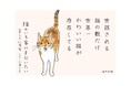 【世話される猫の数だけ世界一かわいい猫が存在してる】短歌エッセイ集『猫のいる家にまだいたい』が9月30日発売