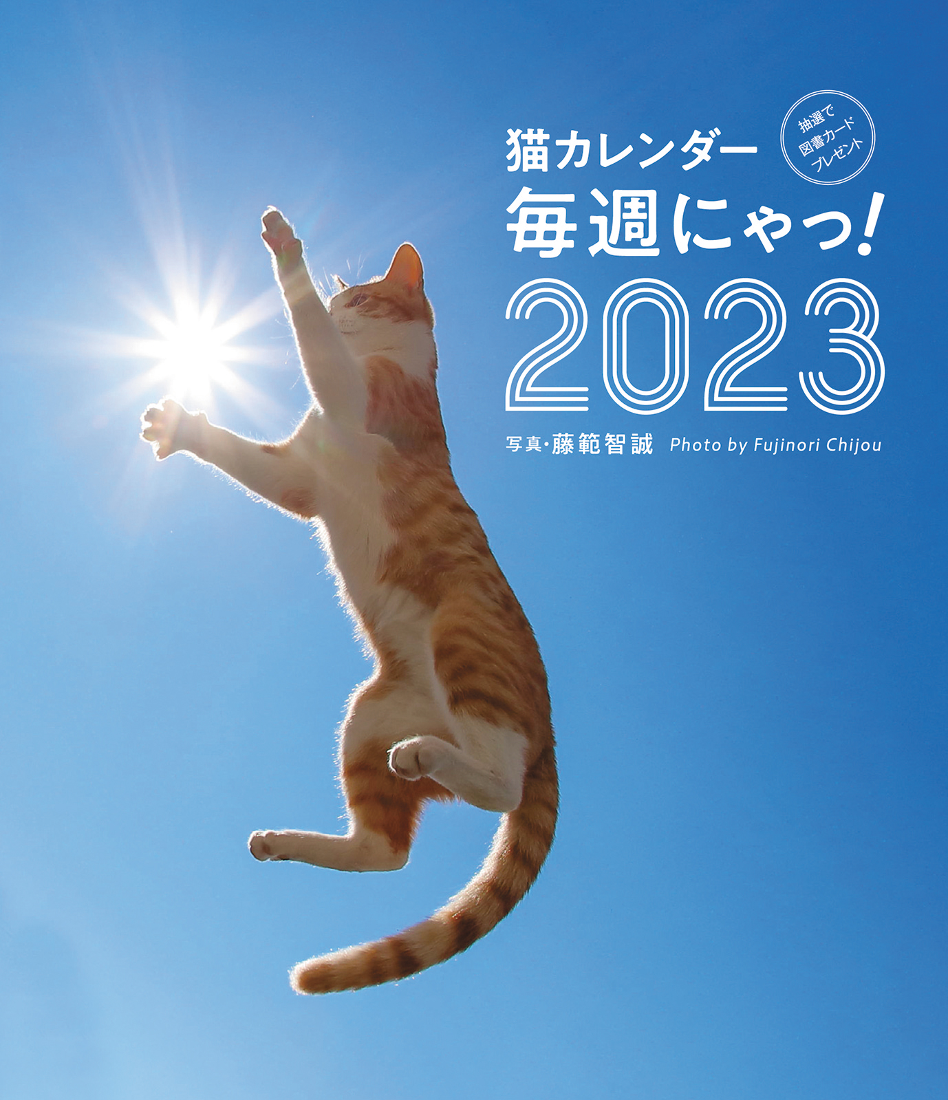 こんな猫カレンダー今までなかった！元気いっぱい、はじける猫たちに週替わりで出会える『猫カレンダー 毎週にゃっ！2023』が新発売 ｜辰巳出版株式会社のプレスリリース