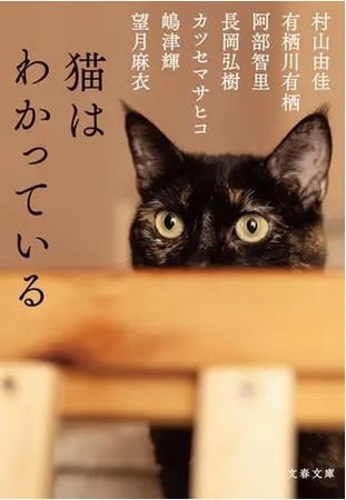 (C)『猫はわかっている』／文藝春秋