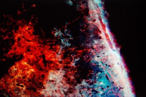D9451 21 842820 0