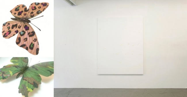 大野修平「urban camouflage」　2013 昆虫（蝶）、化粧品、アクリル絵の具　h7.9×w8.0×d2.0cm（左上）／　h11.0×w12.0×d2.0cm（左下） 水口鉄人「Tape Painting (Untitled) 」　2015  キャンバスにアクリル　h162×w130 cm（右）