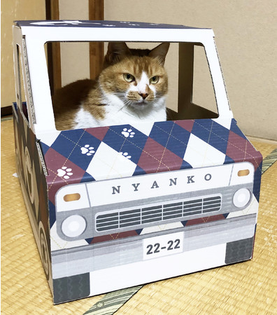 これほしい 猫トラック 発売 ダンボール通販 Kage Log