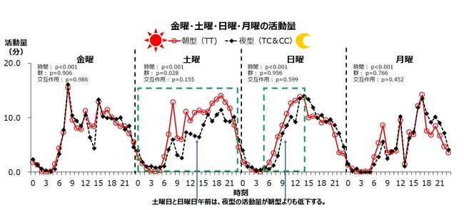 夜型20人と朝型61人の学生それぞれの活動量平均値をプロット。土曜日と日曜日午前は、夜型の活動量が朝型よりも低下する。 しかしこれ以外の時間帯は、活動量に差はなかった（平日は金曜日と月曜日だけを図示したが、火曜日から木曜日も同様に差がない）。