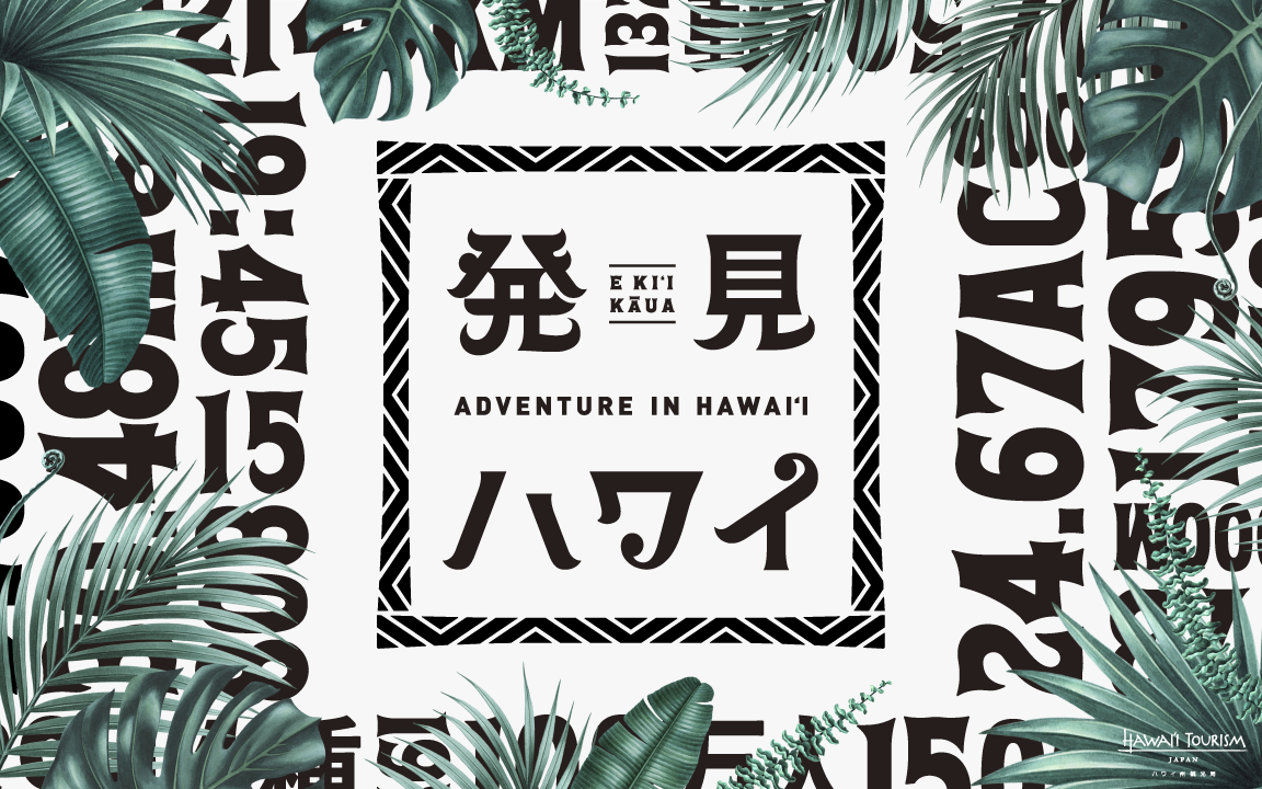 日本在庫・即発送 70年代オリジナルhawaii ハワイ観光局プロモーション