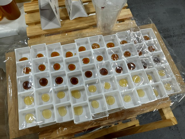 催事での試食の様子