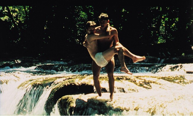 『野性の葦』 (C) 1993 STUDIOCANAL 『野性の葦』 (C) 1993 STUDIOCANAL