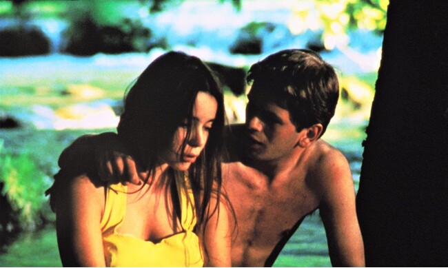『野性の葦』 (C) 1993 STUDIOCANAL 『野性の葦』 (C) 1993 STUDIOCANAL